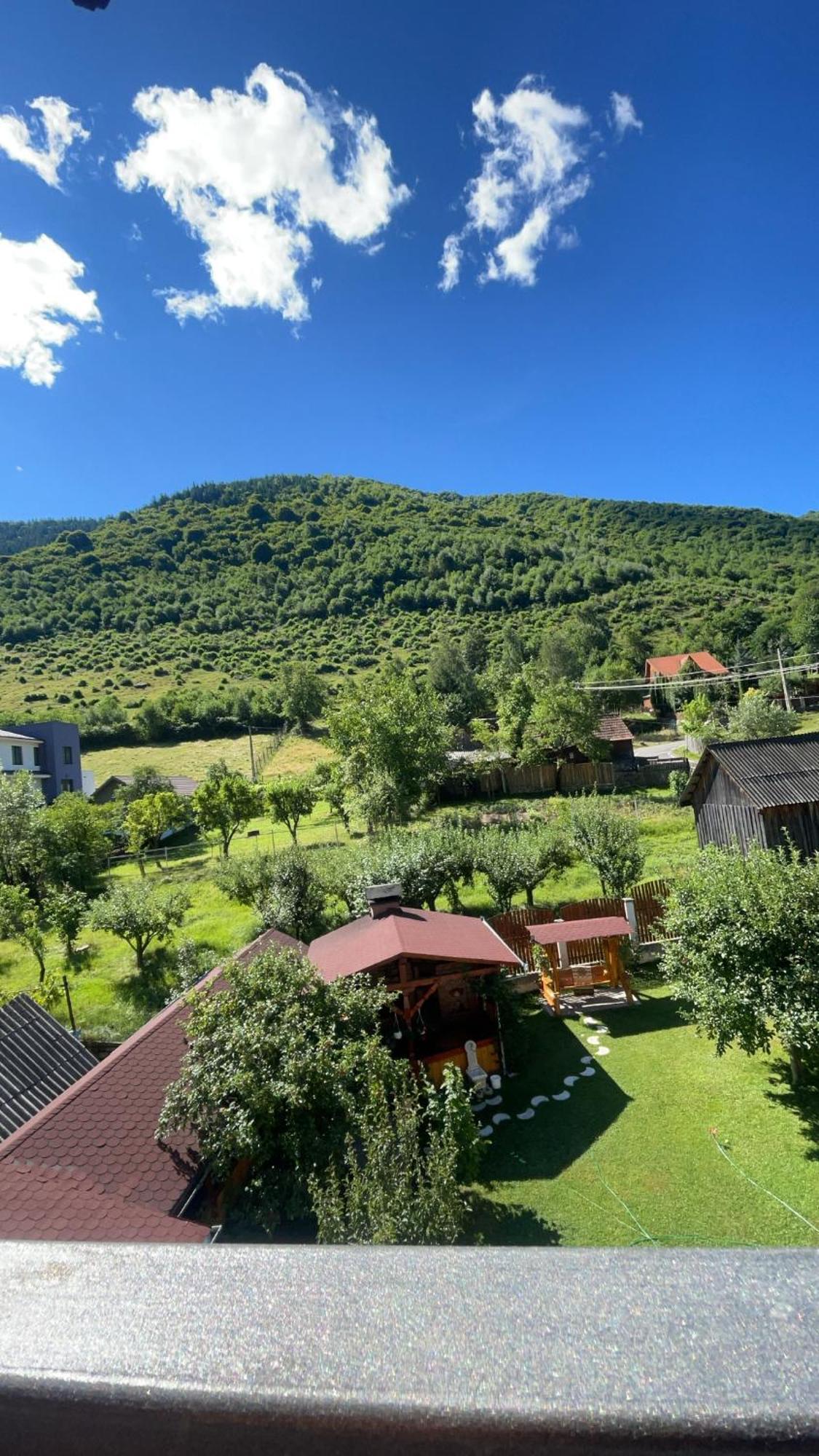 Pensiunea Vatafu Gura Rîului Exteriör bild